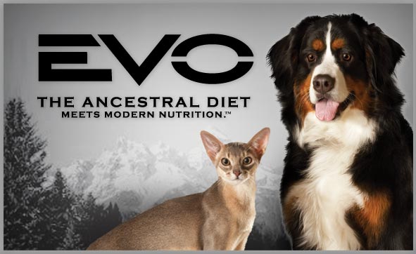 All Natural Dog Food Brands Petsmart