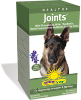 Renew Life - Healthy Joints